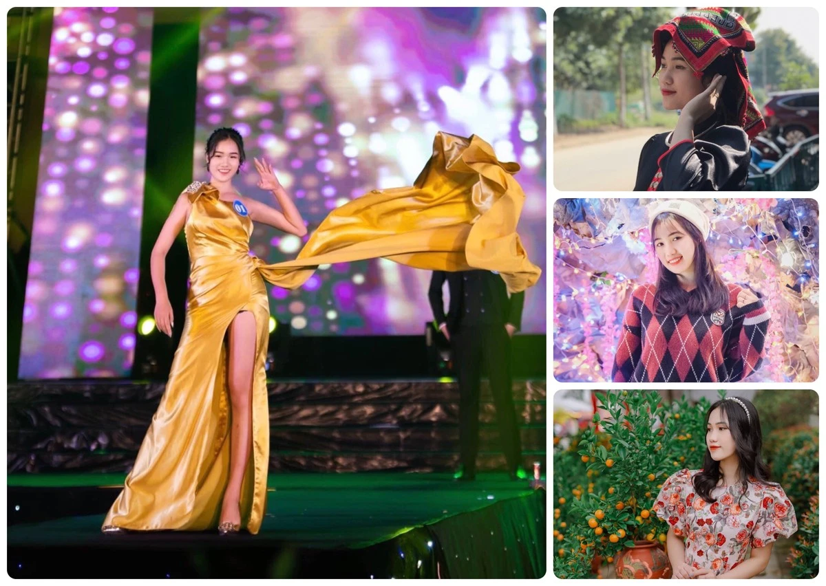 Vi Thị Hải từng đoạt giải Thí sinh triển vọng trong Cuộc thi Học sinh - Sinh viên thanh lịch của Trường Cao đẳng Lào Cai.