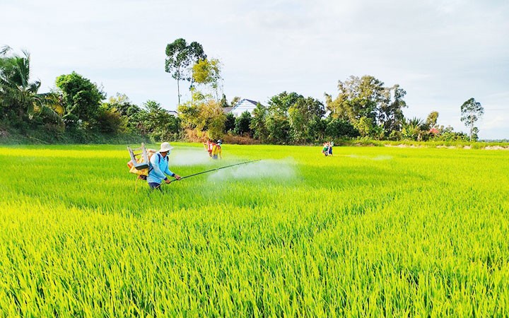 Nghị quyết mới về nông nghiệp, nông dân, nông thôn ảnh 1 Nghị quyết mới về nông nghiệp, nông dân, nông thôn ảnh 1