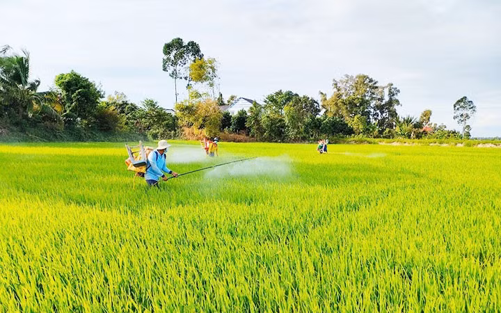 Nghị quyết mới về nông nghiệp, nông dân, nông thôn ảnh 1