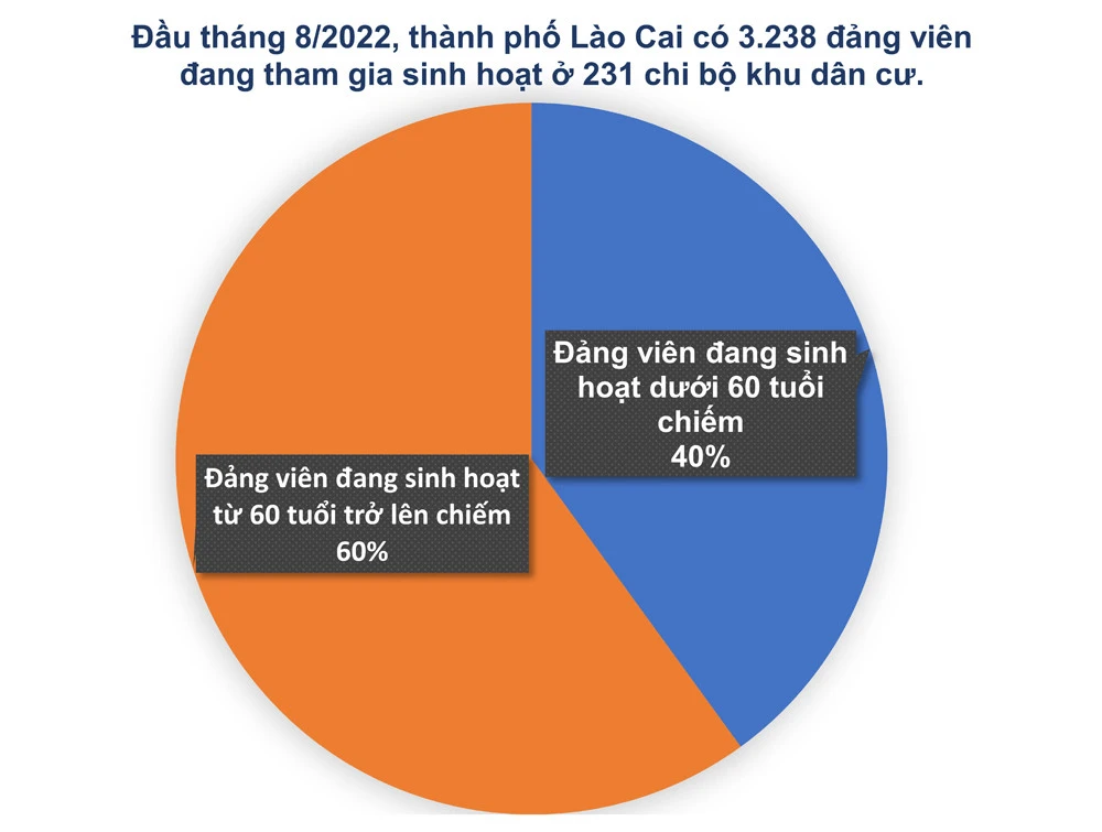 Bài 1: “Tre già” chưa đủ “măng” thay ảnh 4 Bài 1: “Tre già” chưa đủ “măng” thay ảnh 4