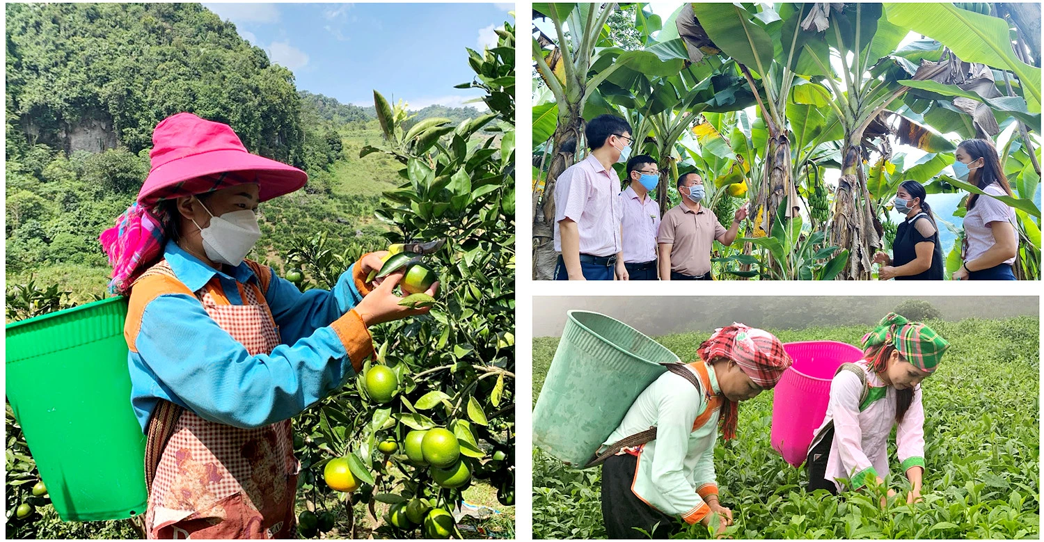 Nguồn lực quan trọng cho xóa đói, giảm nghèo ảnh 2