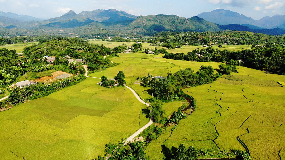 Đổi thay Nghĩa Đô.