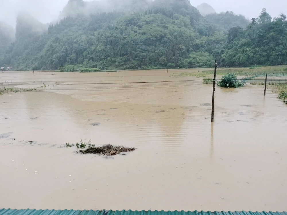 Mưa lũ gây thiệt hại tại nhiều địa phương trong tỉnh ảnh 12