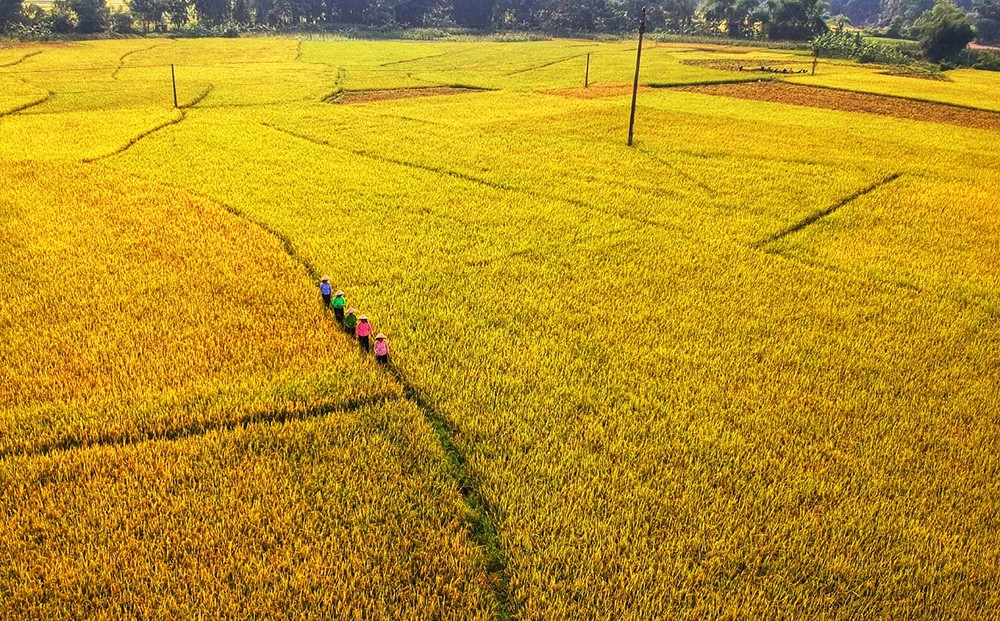 Tuần Văn hóa Du lịch Bảo Yên sẽ diễn ra từ ngày 22/4 - 1/5 ảnh 3