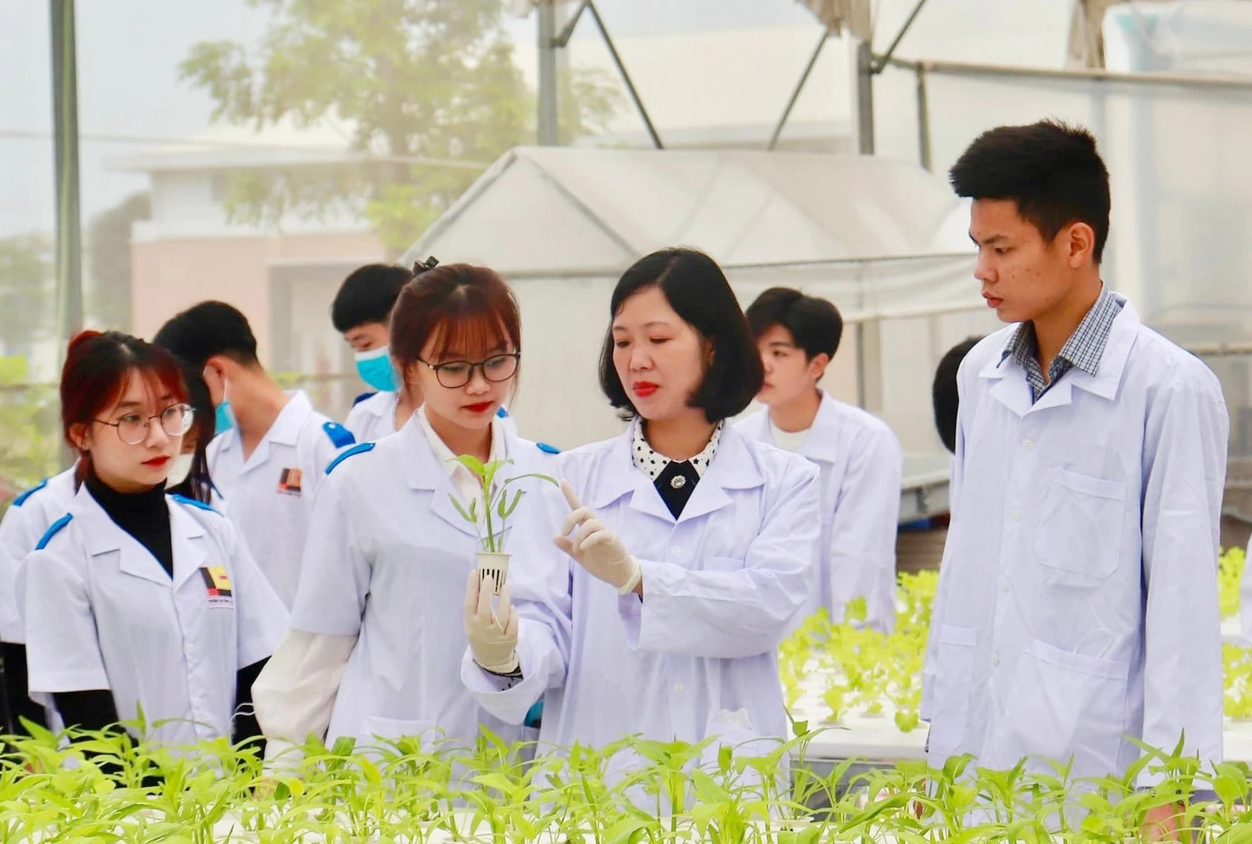 Hoạt động nghiên cứu, ứng dụng khoa học - công nghệ được gắn với đào tạo liên kết, phục vụ nhiệm vụ phát triển kinh tế - xã hội của địa phương.