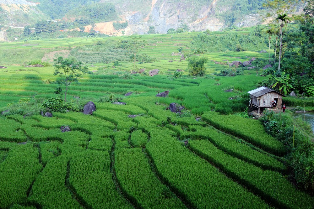 Bình yên Hợp Thành.