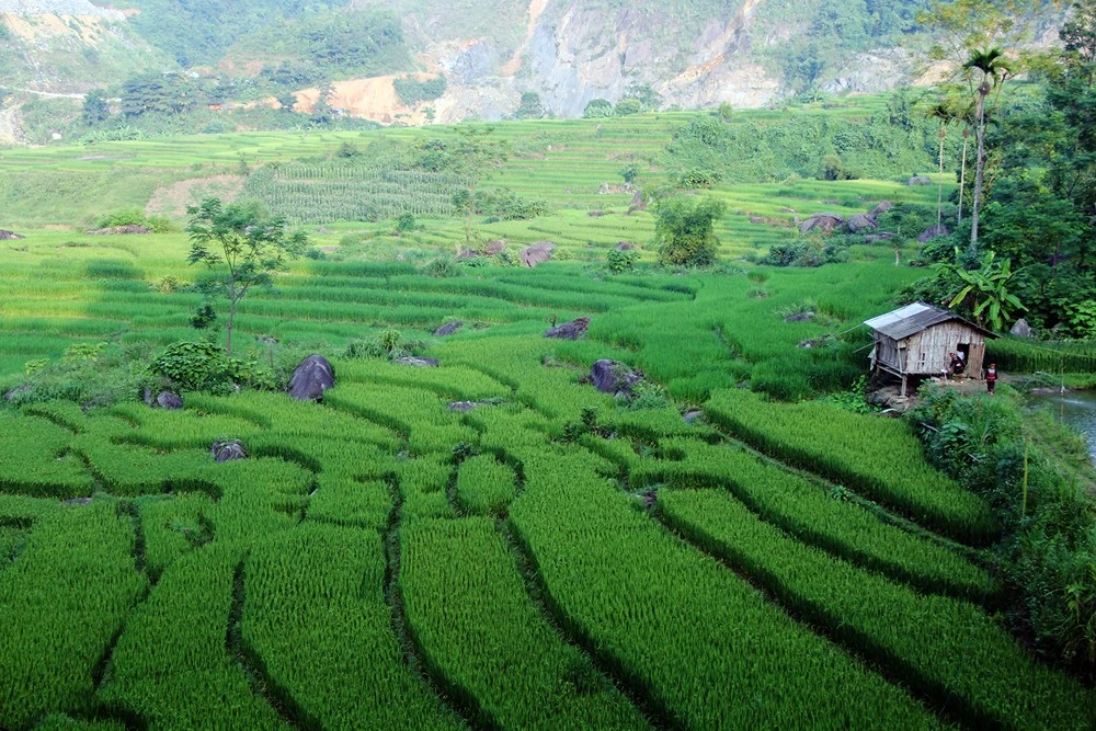 Bình yên Hợp Thành.