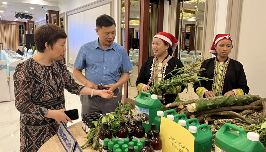 Đại biểu tham quan sản phẩm thuốc tắm của Hợp tác xã Du lịch cộng đồng Dao đỏ Tả Phìn.