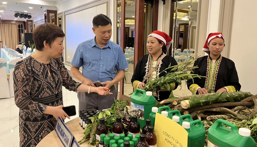 Đại biểu tham quan sản phẩm thuốc tắm của Hợp tác xã Du lịch cộng đồng Dao đỏ Tả Phìn. Đại biểu tham quan sản phẩm thuốc tắm của Hợp tác xã Du lịch cộng đồng Dao đỏ Tả Phìn.