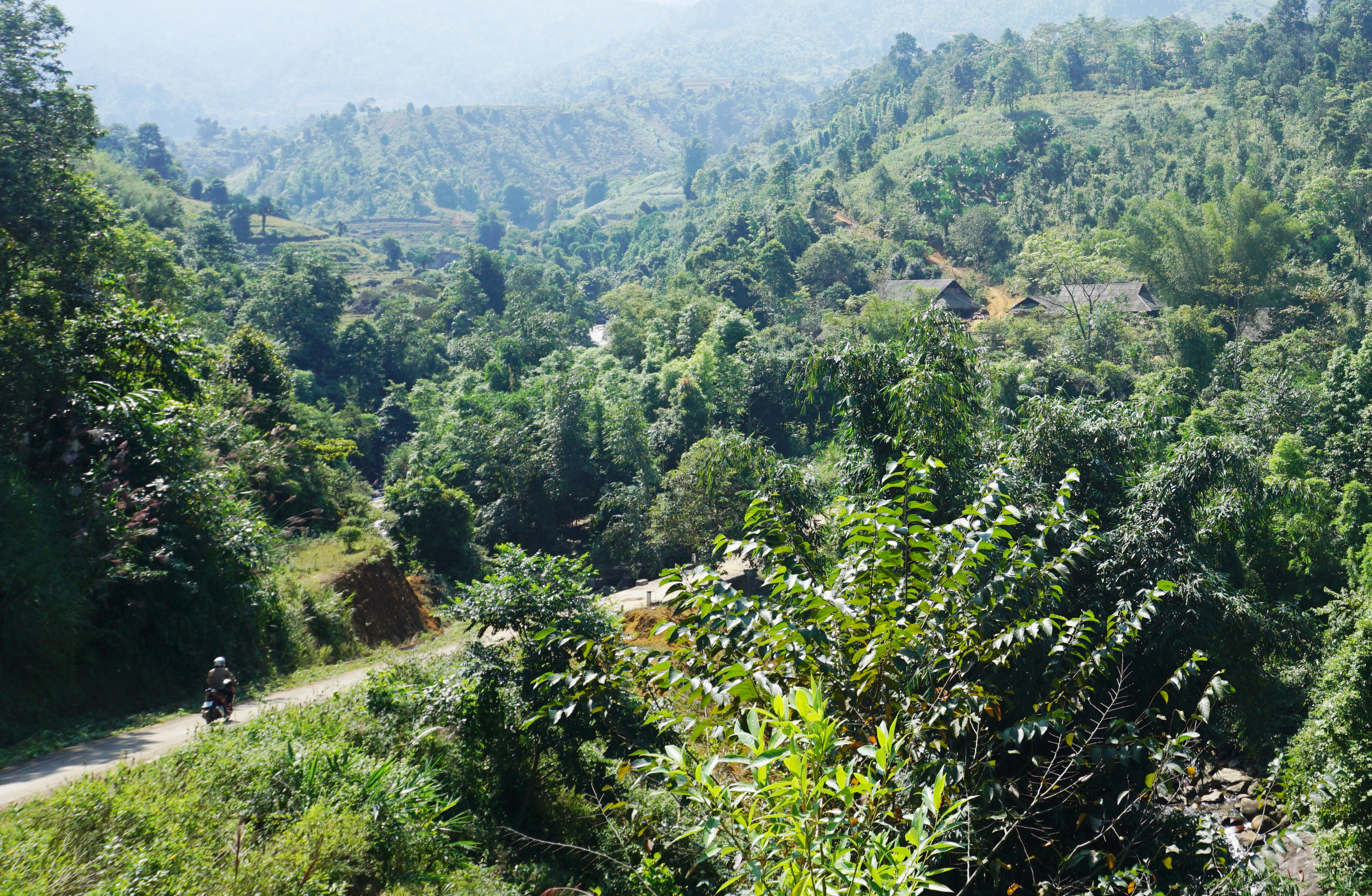 Mùa no ấm trên núi cao ảnh 6