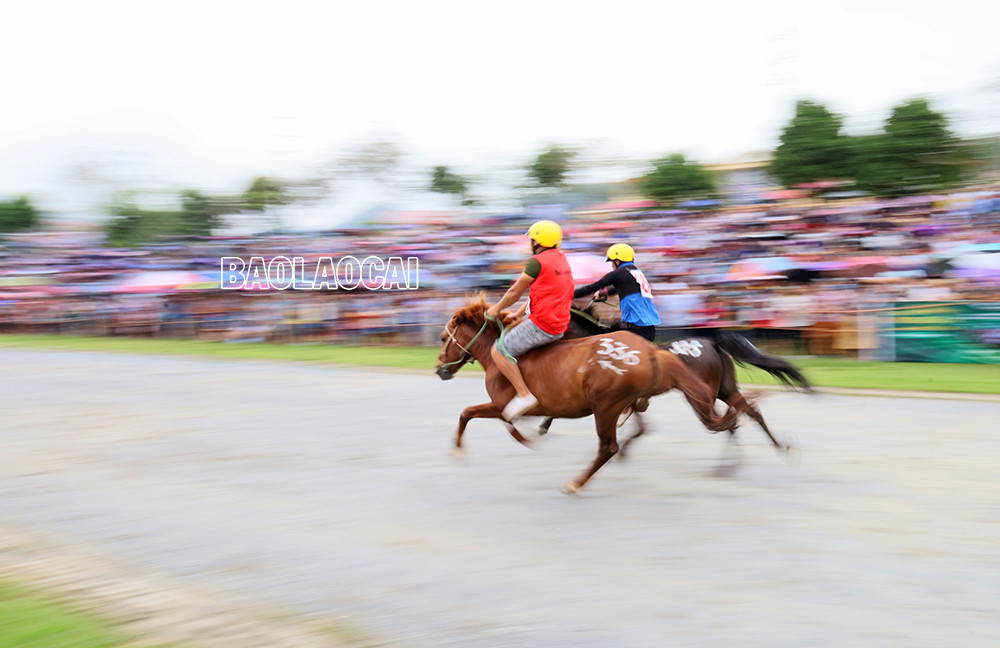 Kịch tính Chung kết Giải đua “Vó ngựa Cao nguyên trắng Bắc Hà mùa hè năm 2022” ảnh 5