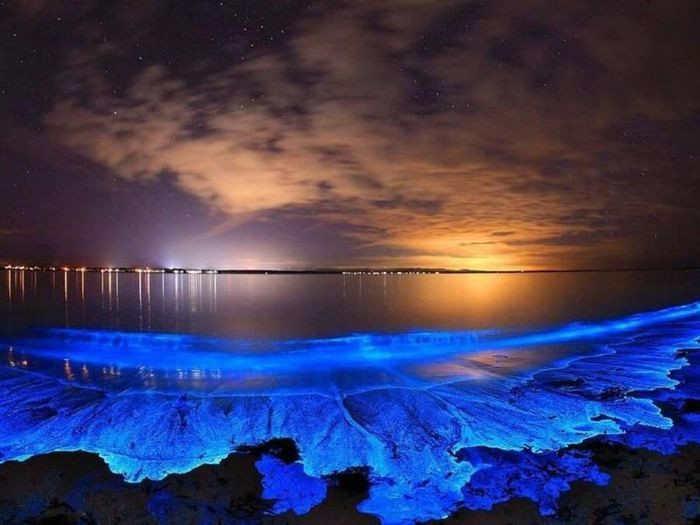 4 hiện tượng thiên nhiên kỳ lạ và nguy hiểm nhất trái đất ảnh 2 4 hiện tượng thiên nhiên kỳ lạ và nguy hiểm nhất trái đất ảnh 2