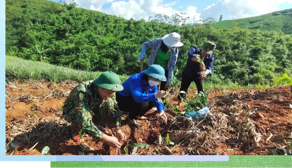 Đại úy Nguyễn Quốc Dũng hướng dẫn bà con xã Bản Lầu trồng chè.