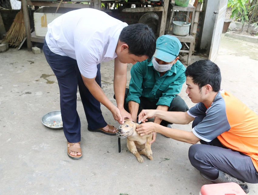Nỗ lực phòng ngừa và loại bỏ bệnh dại ảnh 3