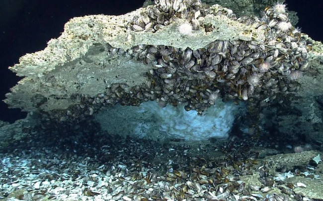 Methane hydrate (màu trắng) tại vịnh Mexico, năm 2014.