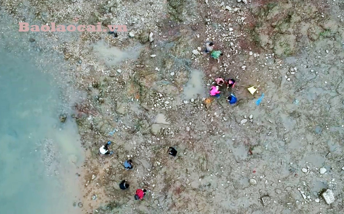 Mỗi khi thủy điện chặn dòng tích nước thì nhiều người dân lại mang dao, cuốc ra đào bới tìm đá quý. Có người mang cả rổ ra đãi sỏi tìm đá. Mỗi khi thủy điện chặn dòng tích nước thì nhiều người dân lại mang dao, cuốc ra đào bới tìm đá quý. Có người mang cả rổ ra đãi sỏi tìm đá.