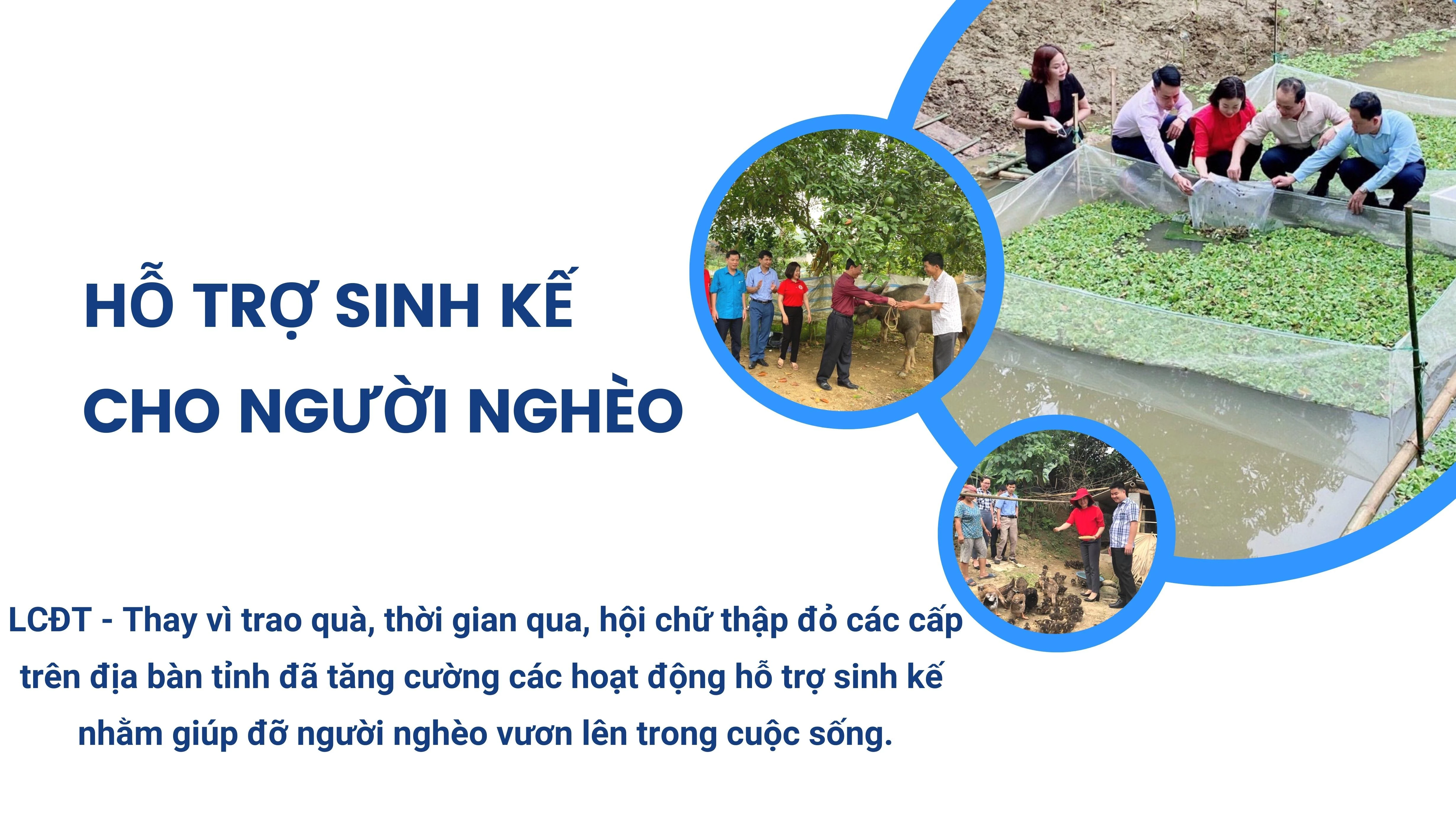 Hỗ trợ sinh kế cho người nghèo ảnh 1