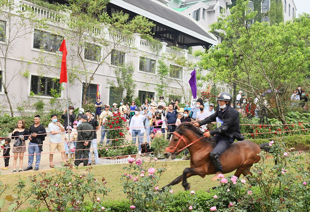 Du khách tập trung theo dõi đua ngựa. Về đích Chung kết vòng sơ loại bảng A. Trao giải Nhất, Nhì, Ba vòng loại cho các nài ngựa xuất sắc.