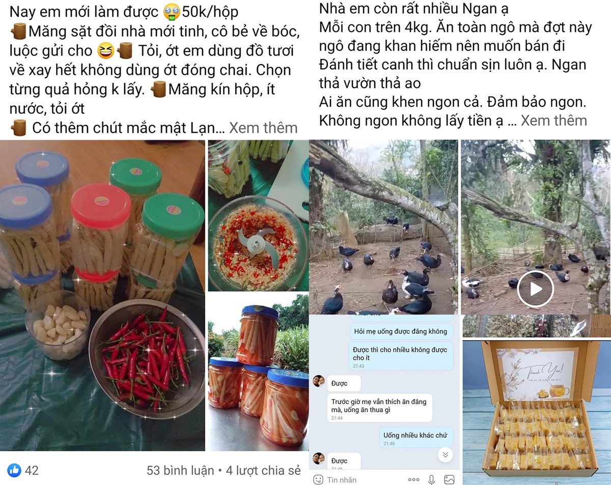 Người tiêu dùng ngày càng chuộng hàng Việt trên các sàn thương mại điện tử. Người tiêu dùng ngày càng chuộng hàng Việt trên các sàn thương mại điện tử.