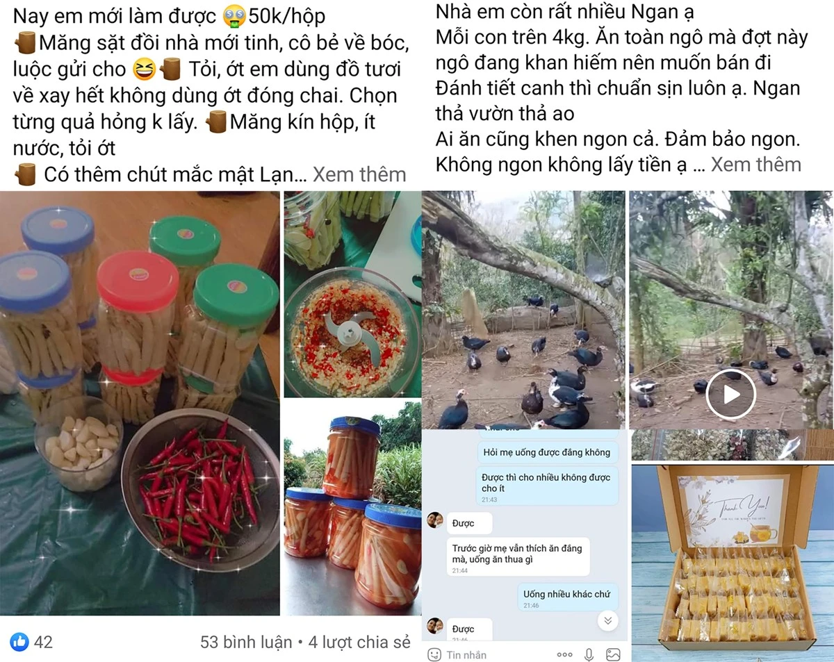 Người tiêu dùng ngày càng chuộng hàng Việt trên các sàn thương mại điện tử.