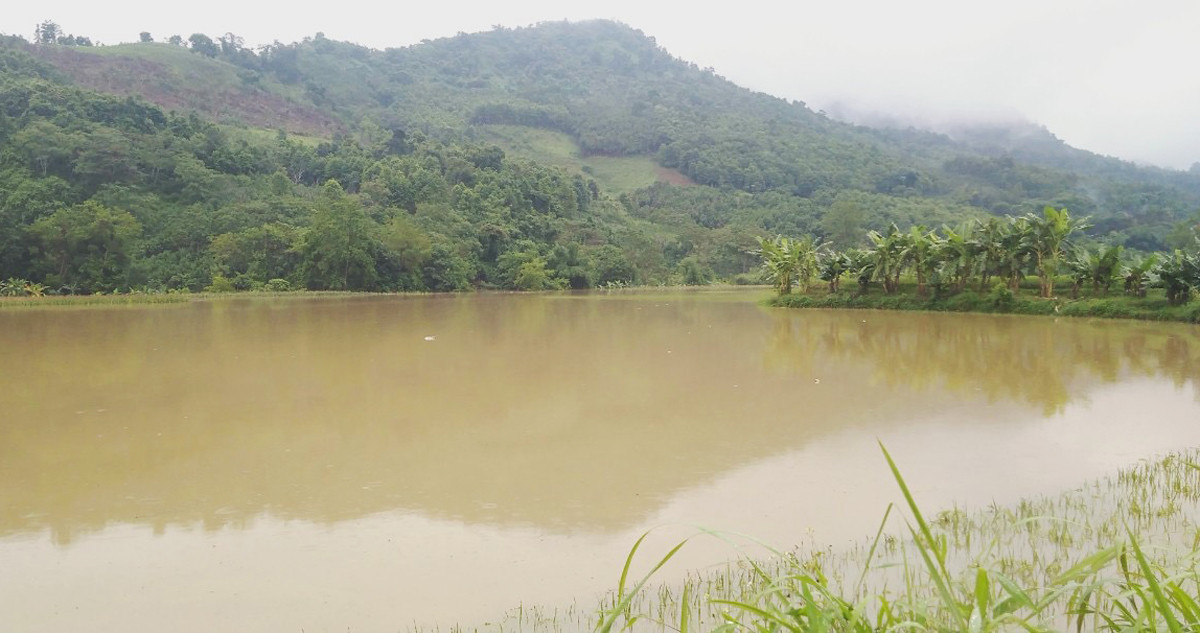 Mưa lũ gây thiệt hại tại nhiều địa phương trong tỉnh ảnh 4