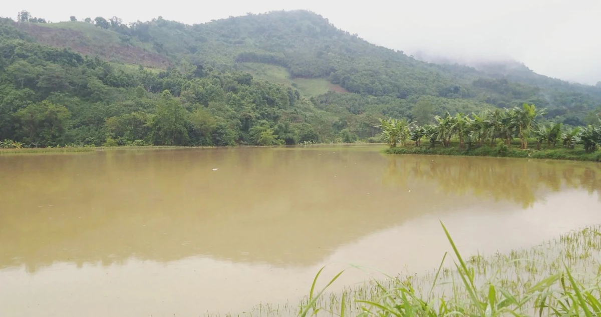 Mưa lũ gây thiệt hại tại nhiều địa phương trong tỉnh ảnh 4