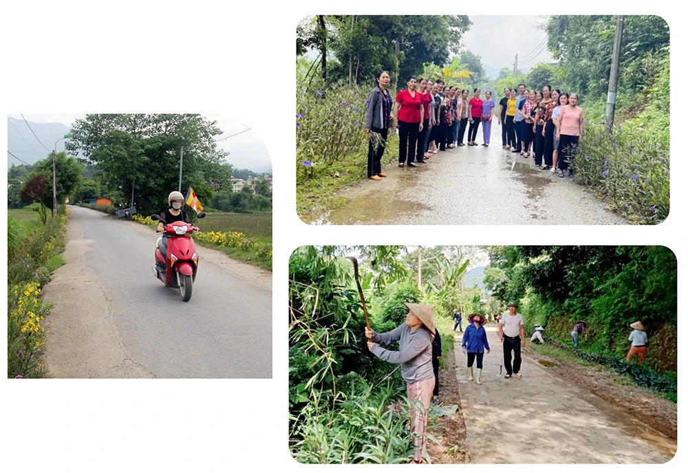 Lan tỏa phong trào trồng cây xanh ảnh 3