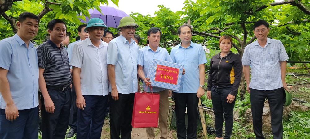 Thăm và tặng quà mô hình trồng na của Hợp tác xã Mé Lếch, huyện Mai Sơn.