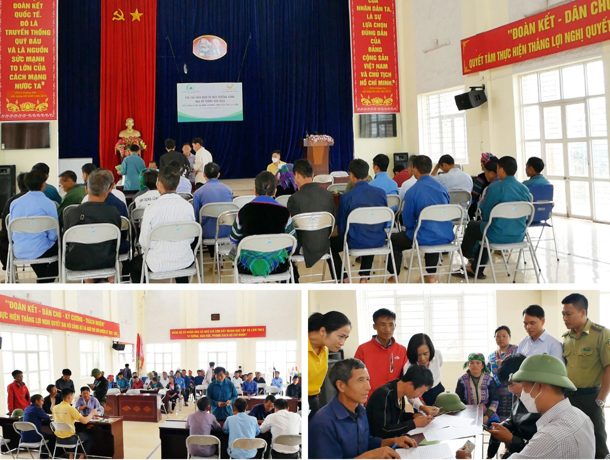 Rừng được phủ xanh, người dân có thu nhập ảnh 4