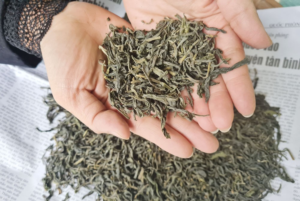 Lên núi thưởng trà… ảnh 2