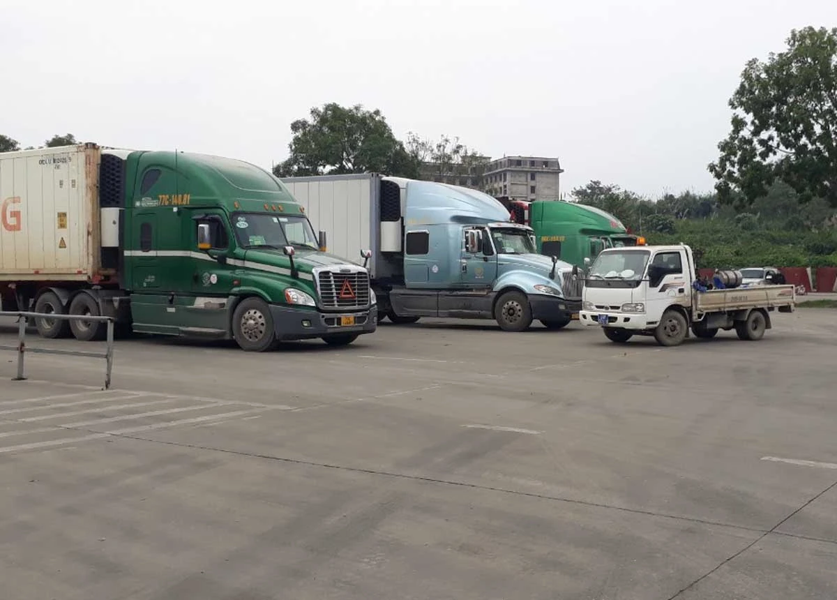 Phun khử khuẩn xe chở hoa quả.