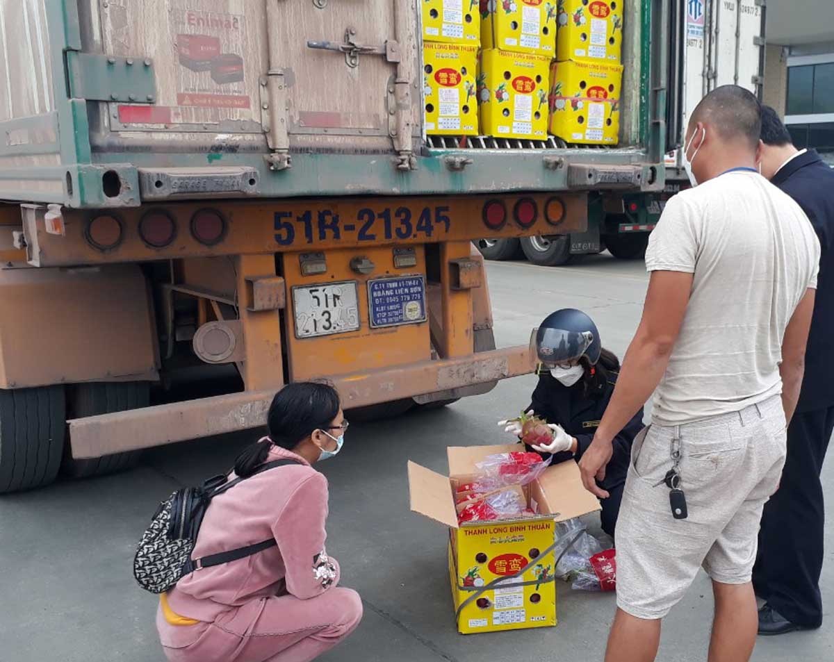 394 tấn thanh long và mít xuất khẩu trong ngày 13/1 ảnh 3