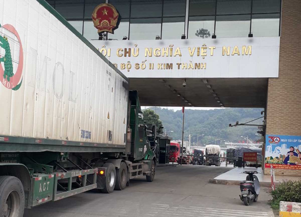 394 tấn thanh long và mít xuất khẩu trong ngày 13/1 ảnh 4