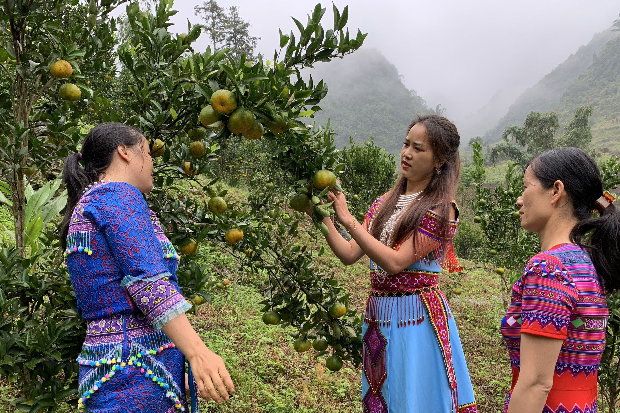 Ước mơ của Chú ảnh 2 Ước mơ của Chú ảnh 2