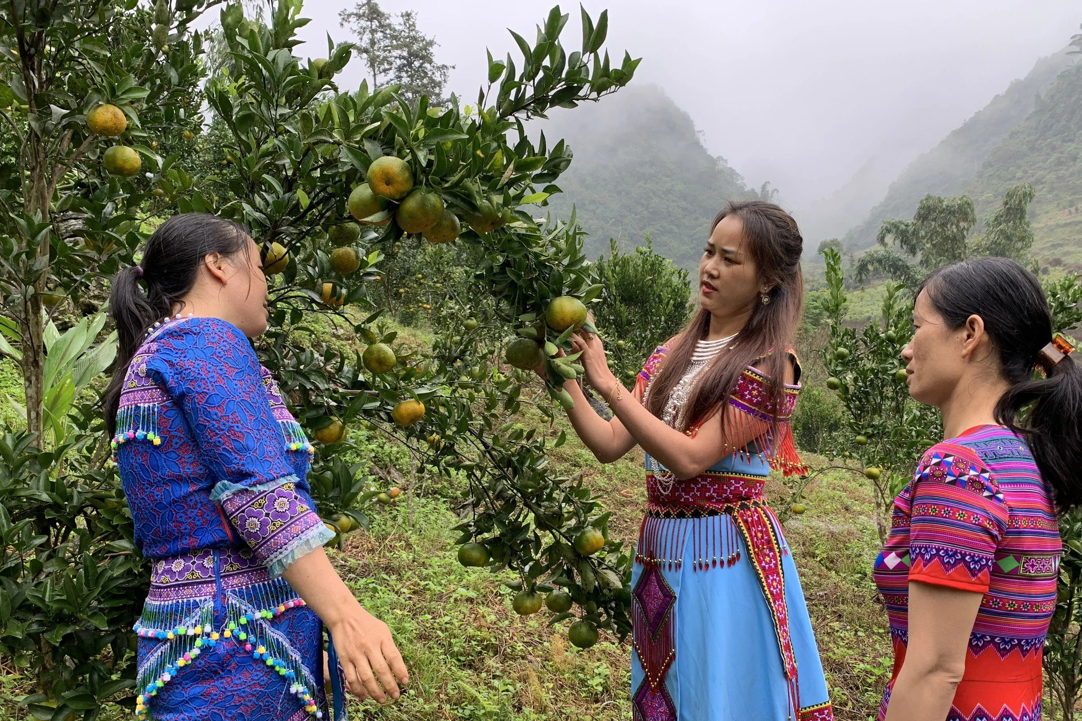 Ước mơ của Chú ảnh 2