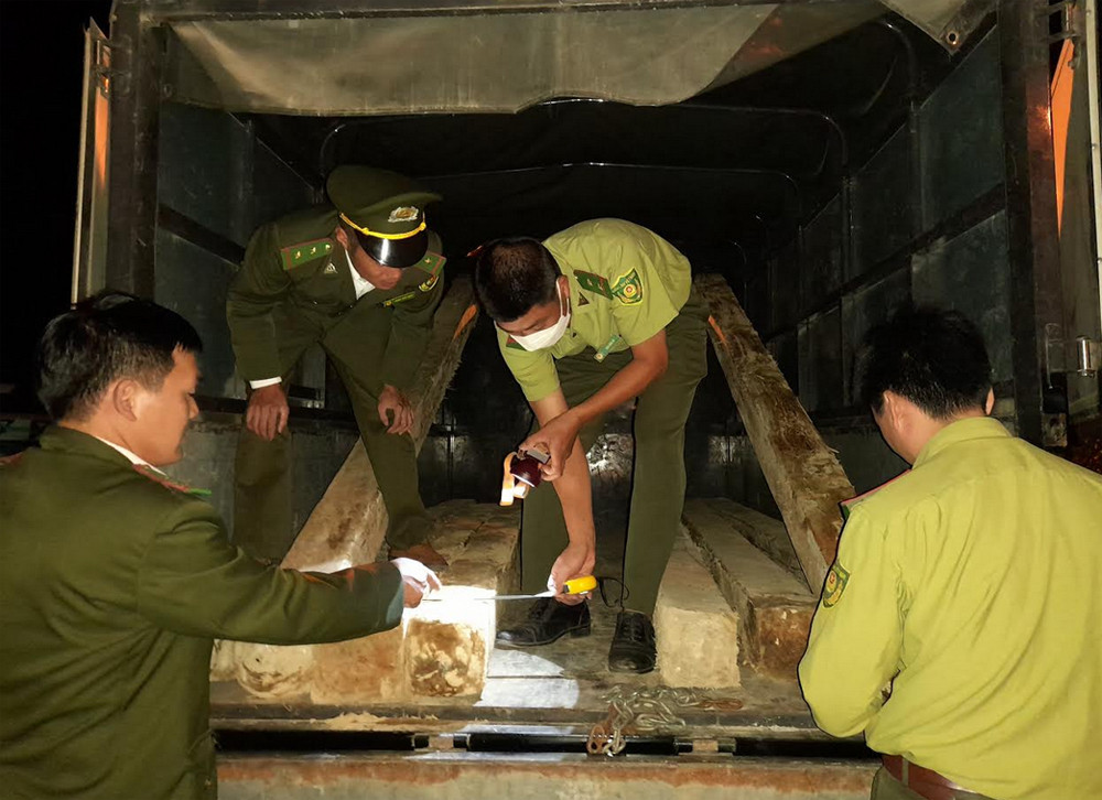Số gỗ được vận chuyển trái phép.
