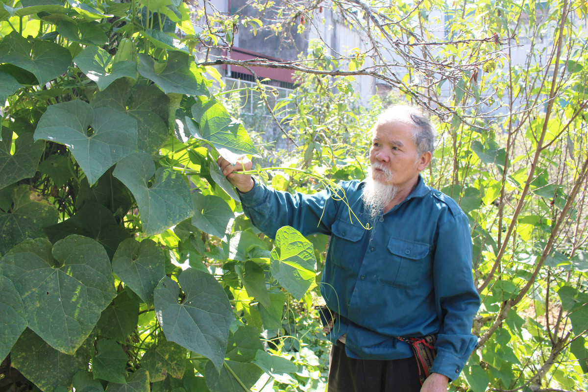 Ông Đào Trọng Đề là tấm gương trong phát triển kinh tế và tham gia các phong trào thi đua của địa phương. Ông Đào Trọng Đề là tấm gương trong phát triển kinh tế và tham gia các phong trào thi đua của địa phương.