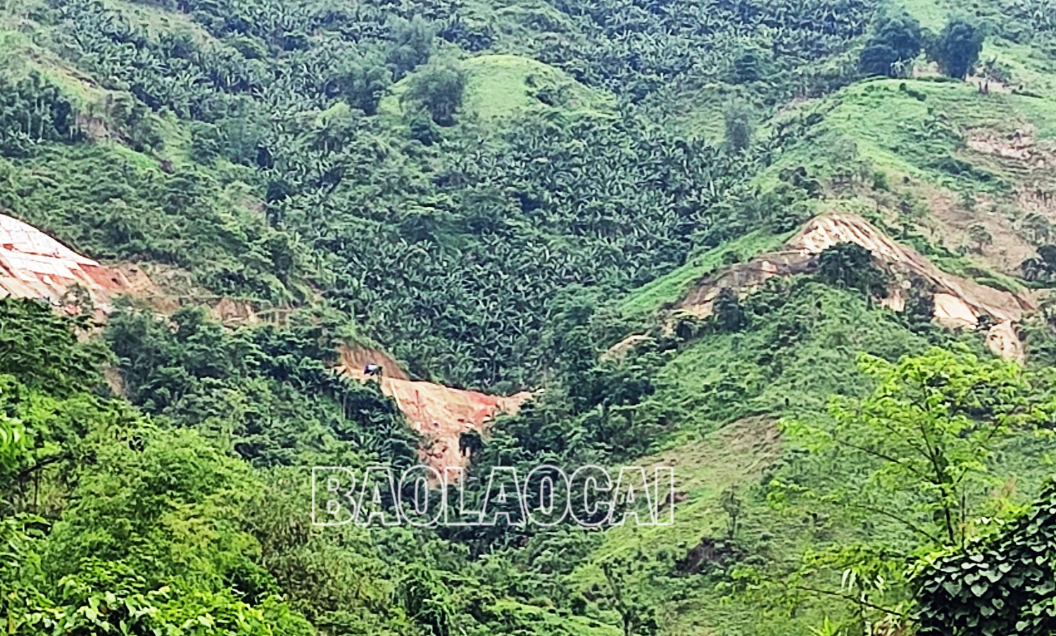 Xử phạt và tịch thu phương tiện đối với công ty đổ thải trái phép ra môi trường ảnh 1