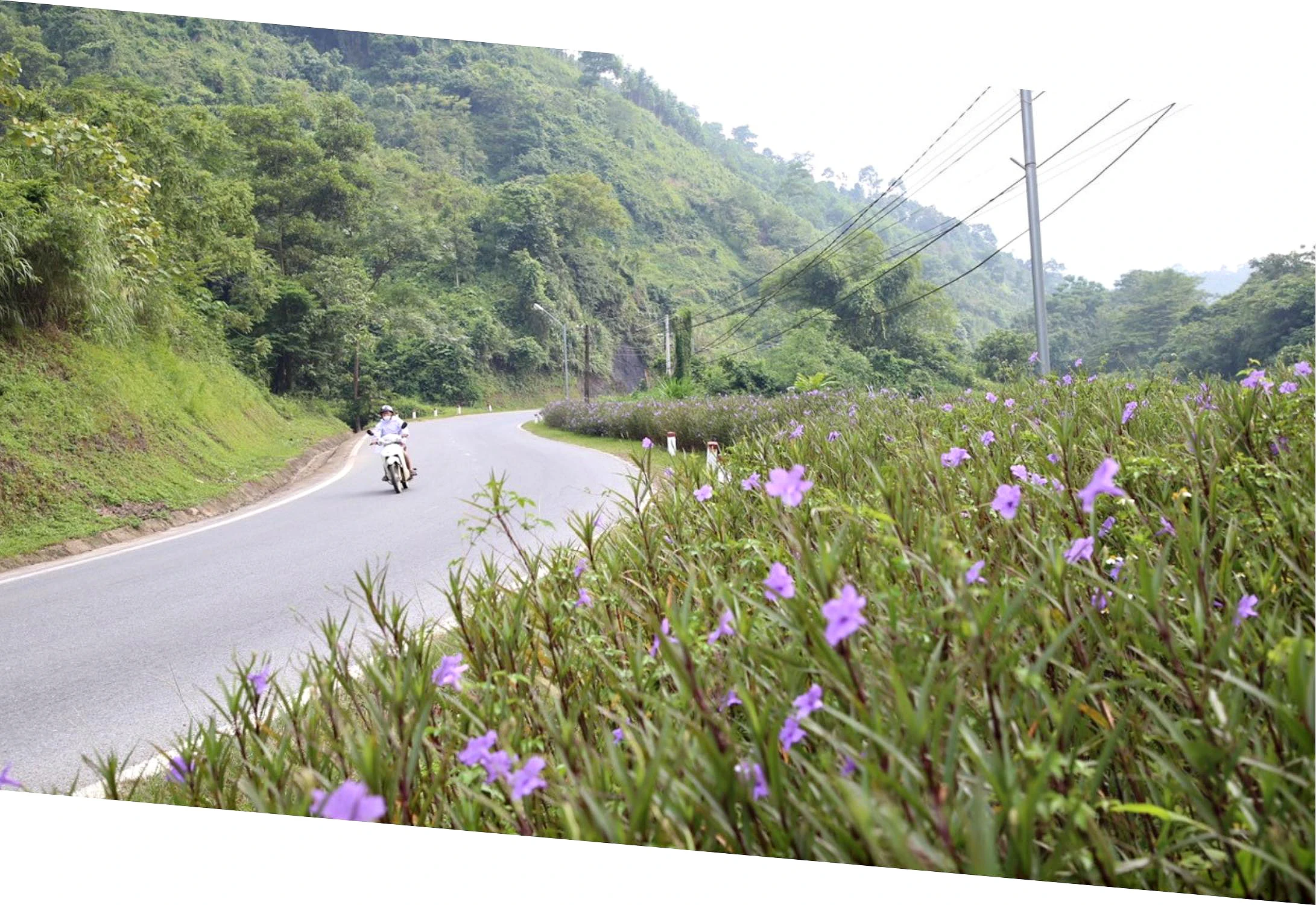 Khi bãi rác… nở hoa ảnh 4