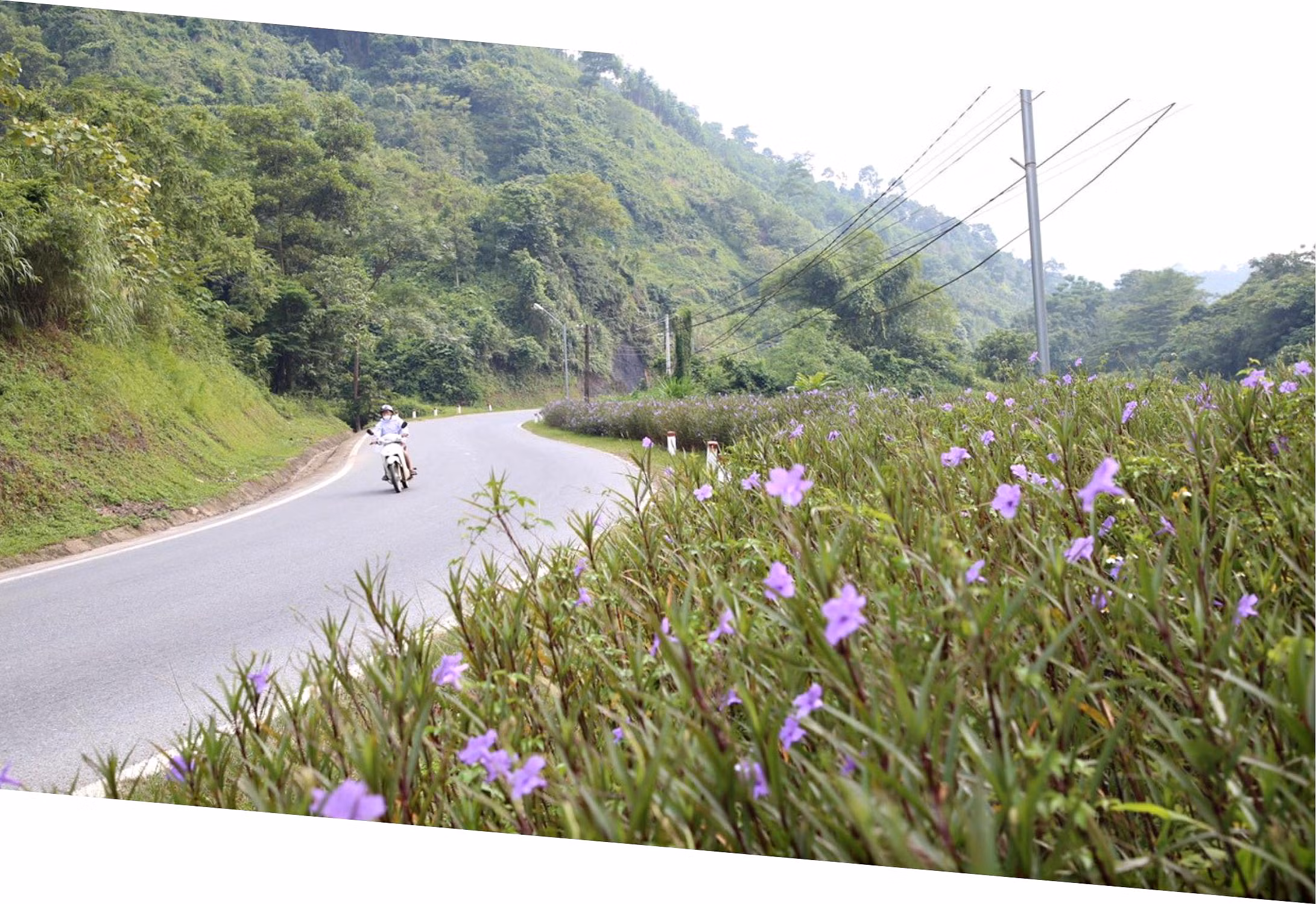 Khi bãi rác… nở hoa ảnh 4