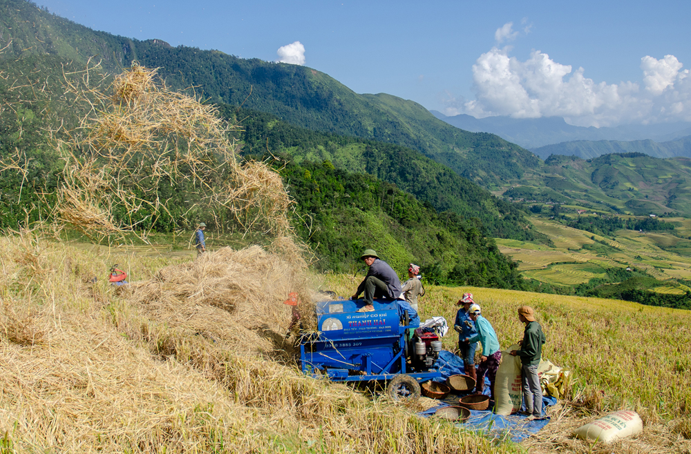 Vâng lời Bác dạy ảnh 1