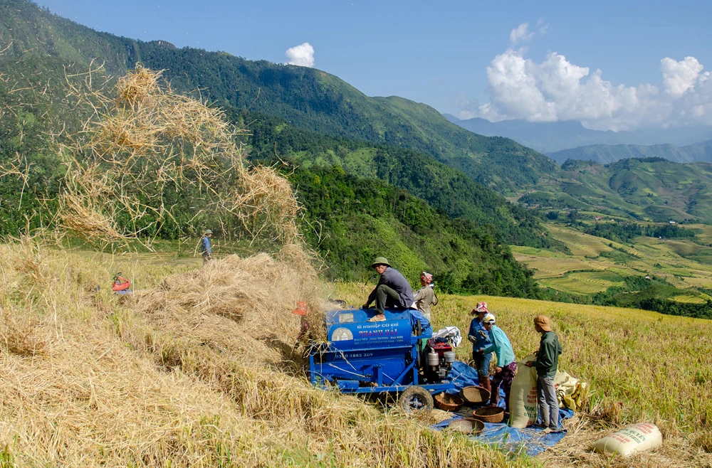Vâng lời Bác dạy ảnh 1