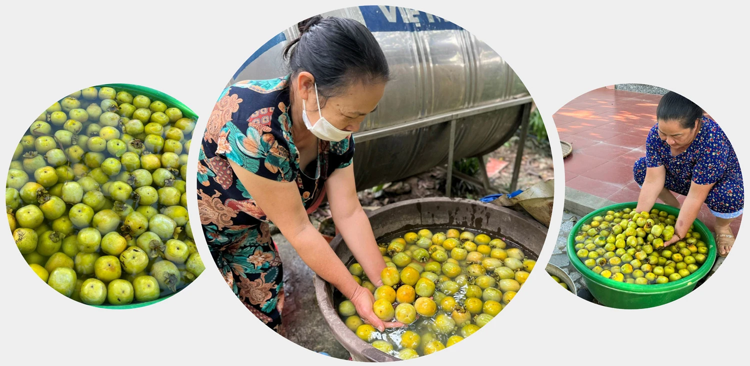 Từ nhiều năm nay, cây hồng không hạt là nguồn thu nhập chính của nhiều hộ dân ở các xã Tân An, Tân Thượng (Văn Bàn), xã Bảo Hà (Bảo Yên). Từ nhiều năm nay, cây hồng không hạt là nguồn thu nhập chính của nhiều hộ dân ở các xã Tân An, Tân Thượng (Văn Bàn), xã Bảo Hà (Bảo Yên).