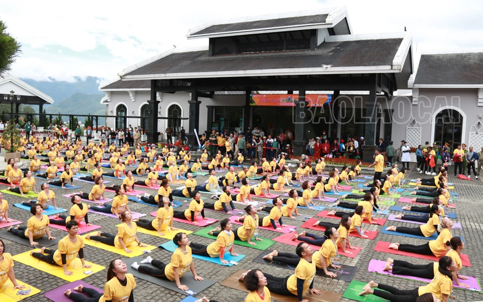 Đồng diễn Yoga "Chào mặt trời - Chào đỉnh Fansipan” ảnh 4