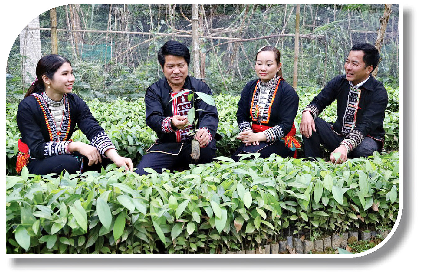 Sản xuất lâm nghiệp theo tiêu chuẩn quốc tế ảnh 2 Sản xuất lâm nghiệp theo tiêu chuẩn quốc tế ảnh 2