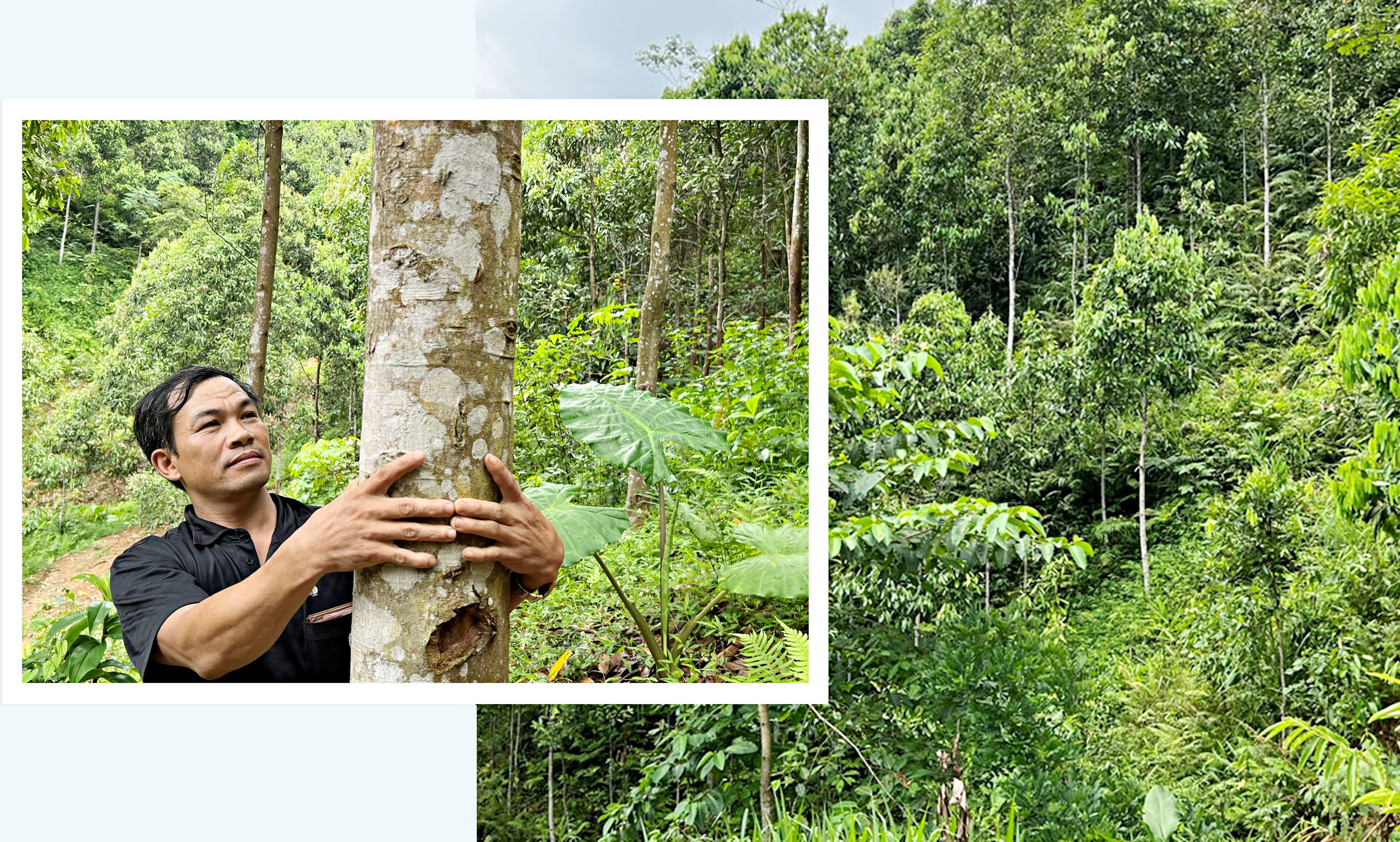 Chuyện về những tỷ phú nông dân ảnh 7 Chuyện về những tỷ phú nông dân ảnh 7