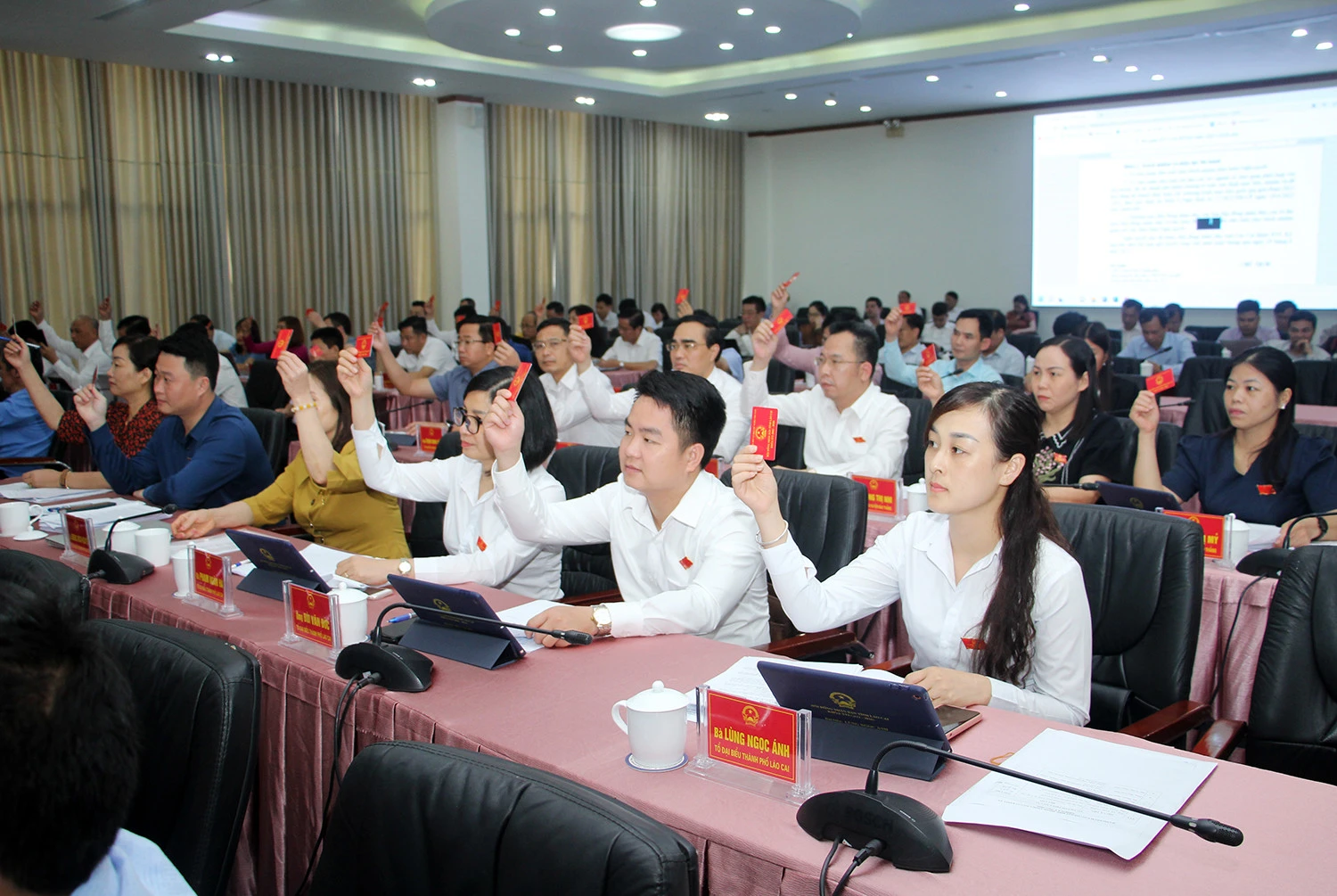 Kỳ họp thứ Năm, HĐND tỉnh khóa XVI thành công tốt đẹp ảnh 7