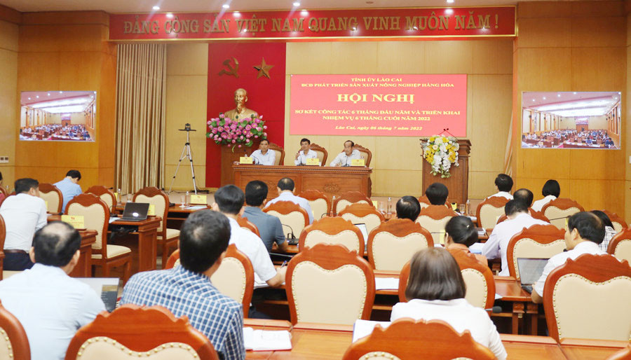 Tăng cường tuyên truyền, quyết liệt trong chỉ đạo, tổ chức thực hiện Nghị quyết 10-NQ/TU ảnh 1