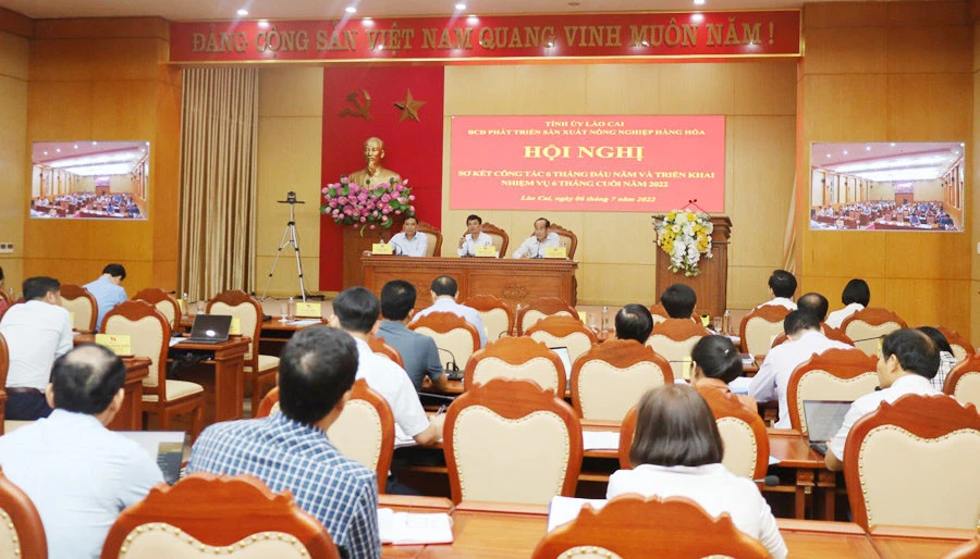 Tăng cường tuyên truyền, quyết liệt trong chỉ đạo, tổ chức thực hiện Nghị quyết 10-NQ/TU ảnh 1