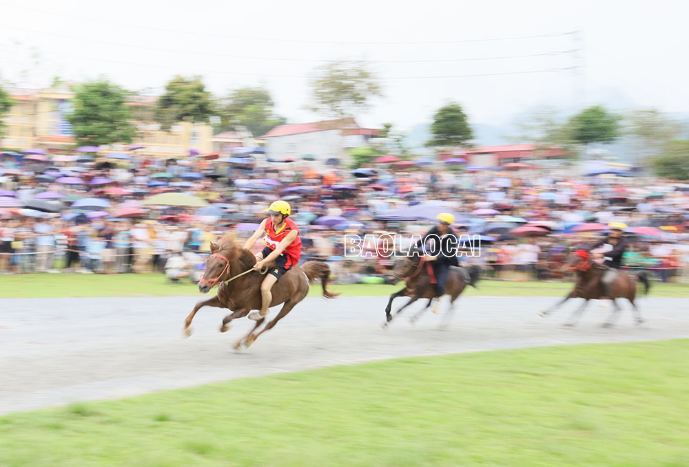 Kịch tính Chung kết Giải đua “Vó ngựa Cao nguyên trắng Bắc Hà mùa hè năm 2022” ảnh 4